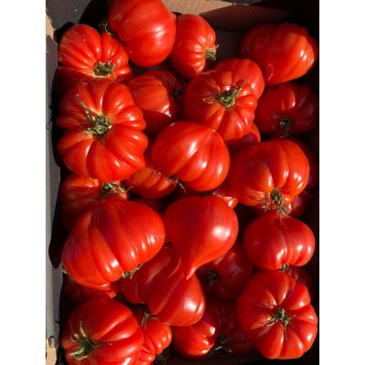 Soep tomaten 1kg